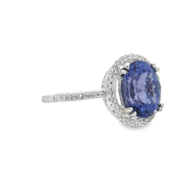 White Gold Tanzanite & Diamond Halo Fashion Ring